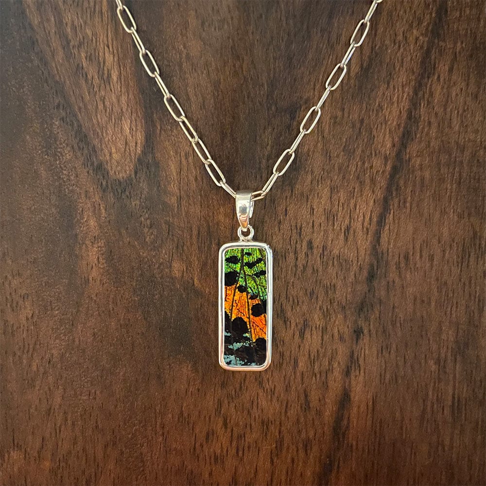 
                  
                    My Store Necklace Paperclip Chain / 16 in Rectangle Pendant Necklace | Real Urania Ripheus Butterfly - Sunrise Series | Sterling Silver
                  
                