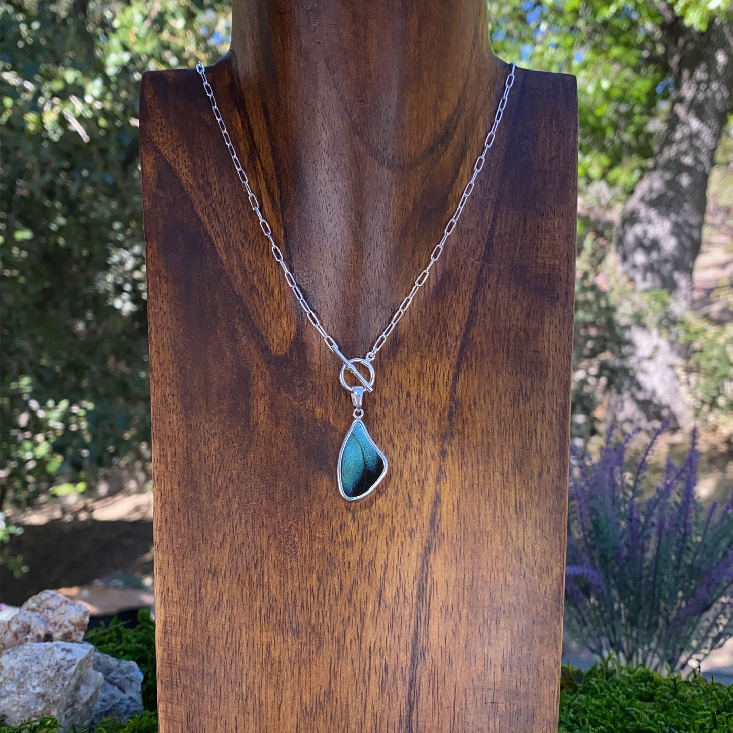 My Store Necklace Real Morpho Achilles Butterfly Large Wing Shaped Pendant Necklace With Your Choice Of Sterling Silver Chain Length And Style