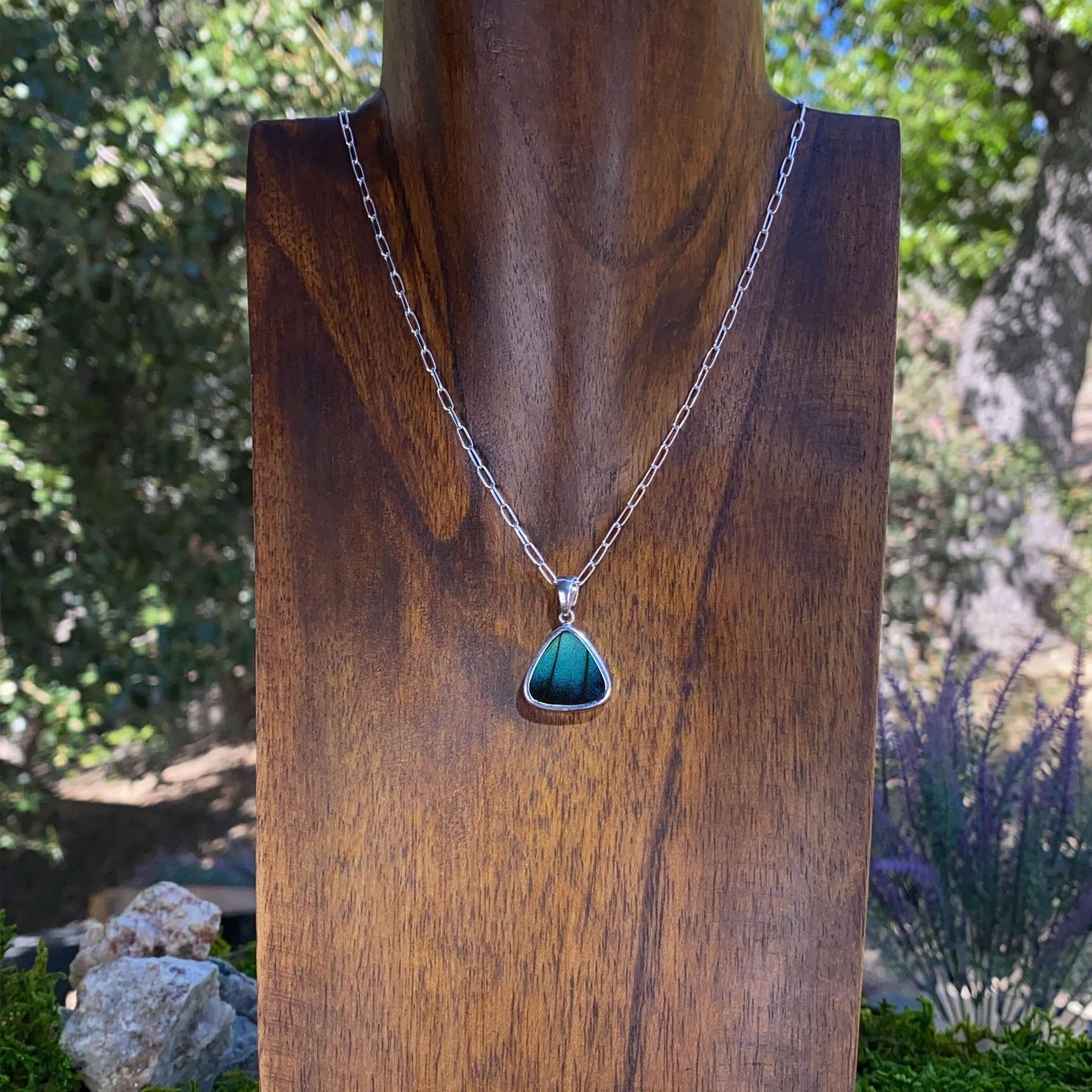 My Store Necklace Real Morpho Achilles Butterfly Triangle Shaped Pendant Necklace With Your Choice Of Sterling Silver Chain Length And Style
