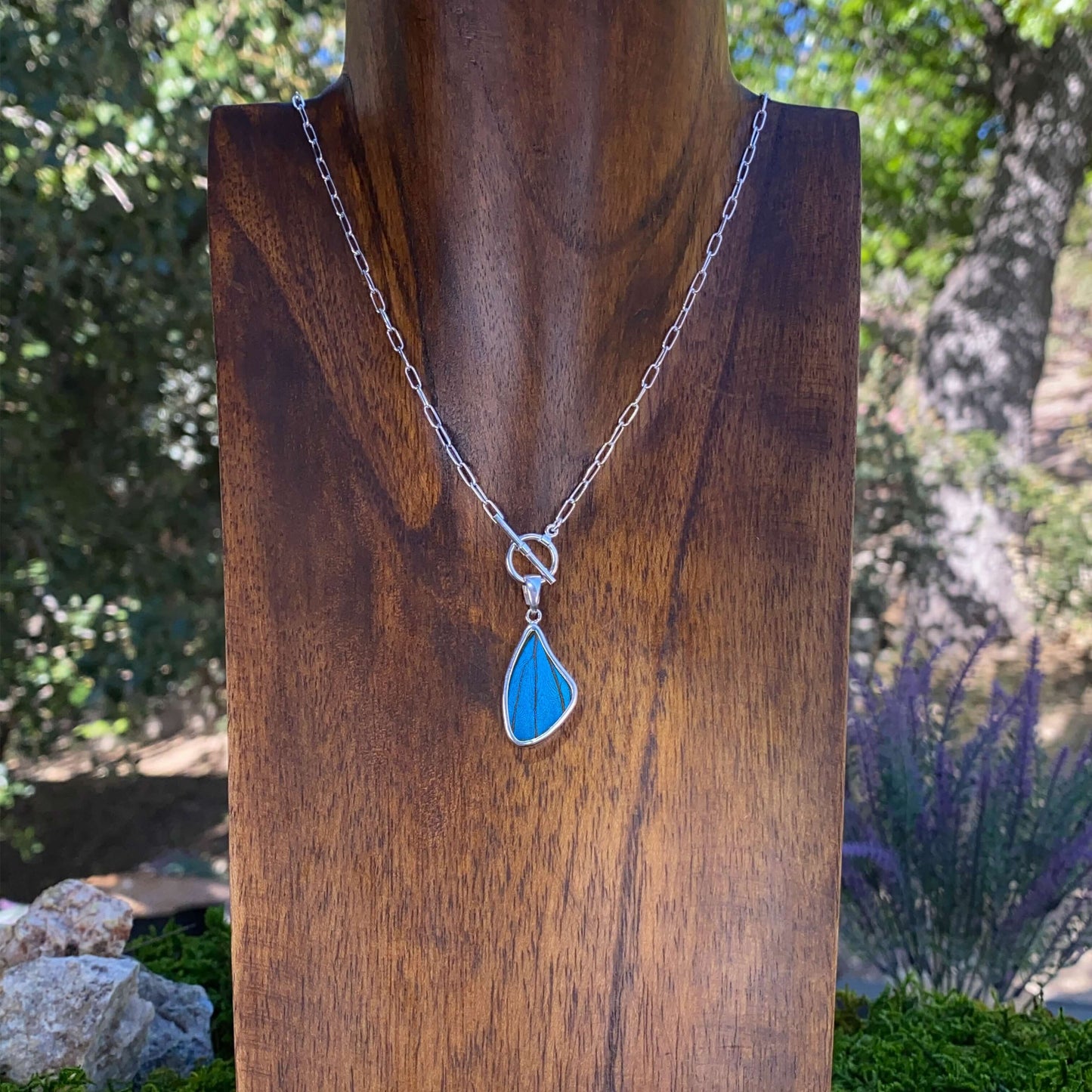 My Store Necklace Real Morpho Butterfly Large Wing Shaped Pendant Necklace With Your Choice Of Sterling Silver Chain Length And Style