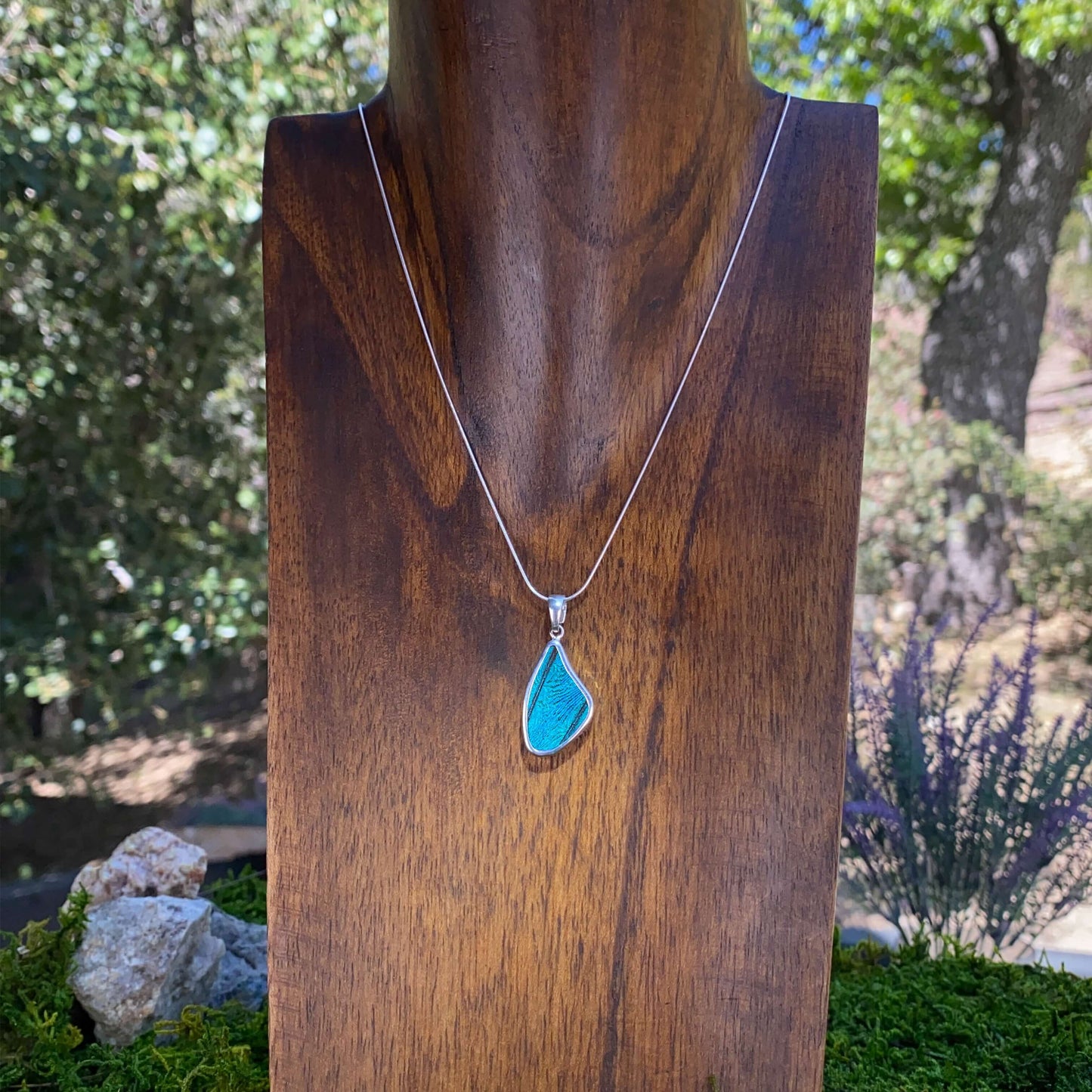 My Store Necklace Real Morpho Butterfly Medium Wing Shaped Pendant Necklace With Your Choice Of Sterling Silver Chain Length And Style