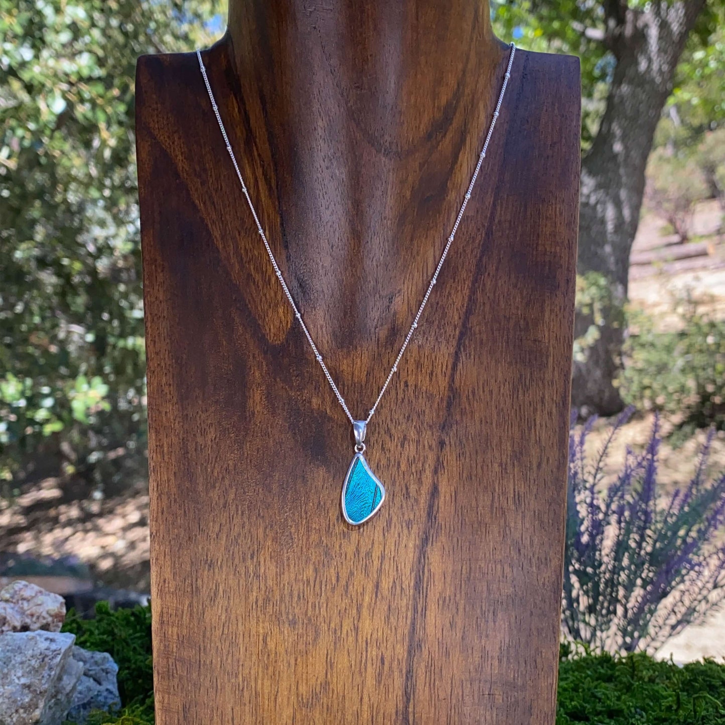My Store Necklace Real Morpho Butterfly Small Wing Shaped Pendant Necklace With Your Choice Of Sterling Silver Chain Length And Style