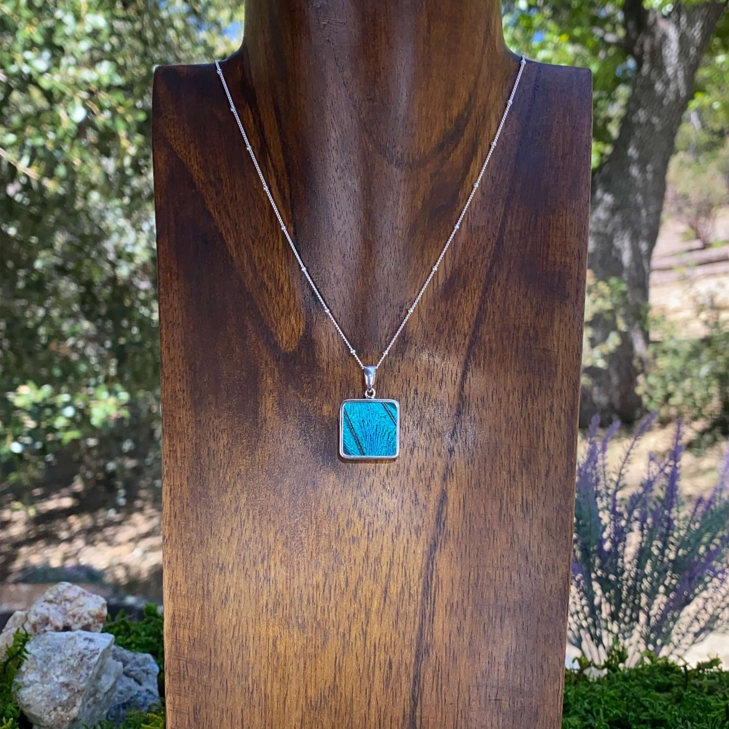 My Store Necklace Real Morpho Butterfly Square Pendant Necklace With Your Choice Of Sterling Silver Chain Length And Style