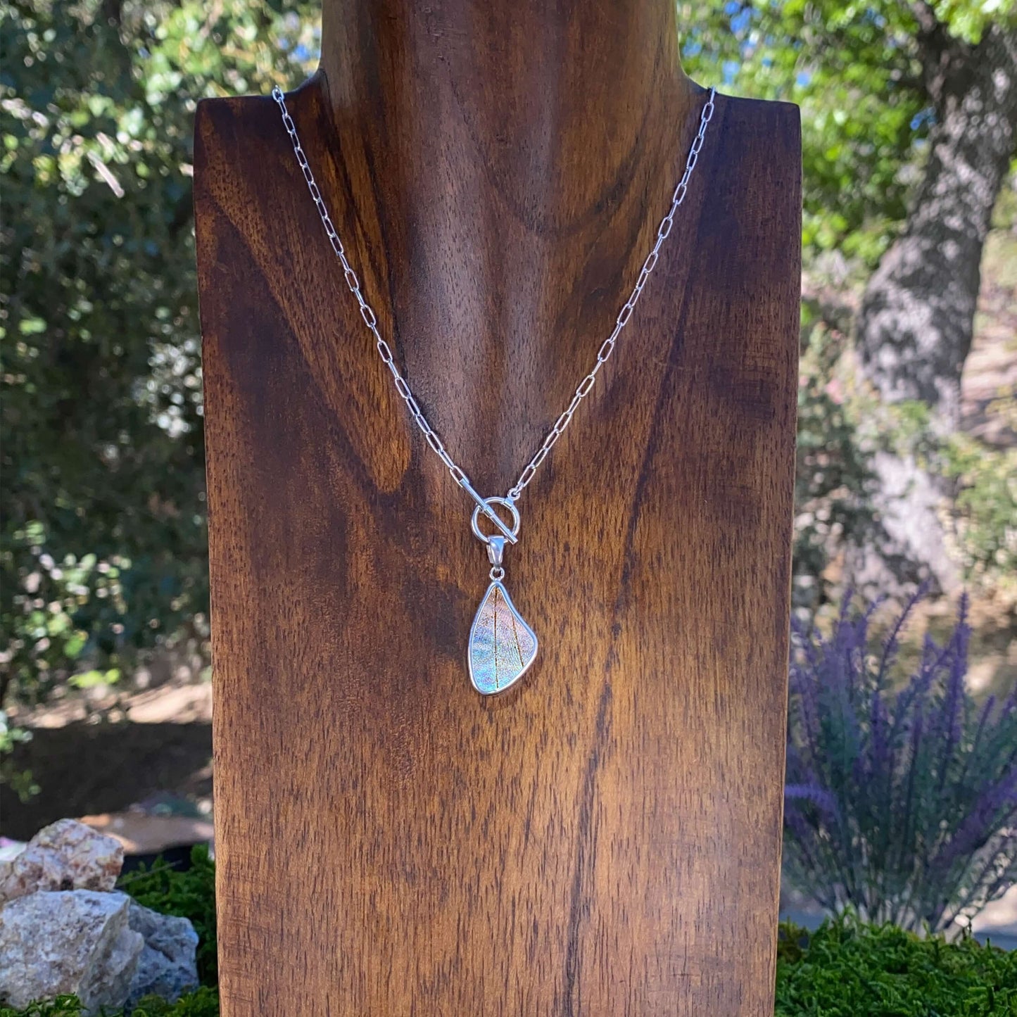 My Store Necklace Real Morpho Sulkowskyi Butterfly Large Wing Shaped Pendant Necklace With Your Choice Of Sterling Silver Chain Length And Style