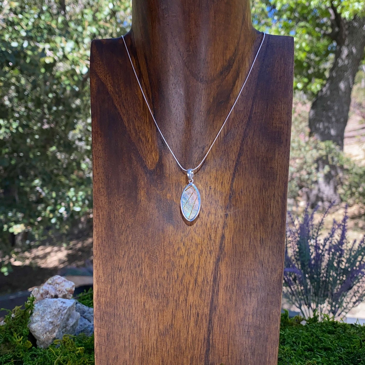 My Store Necklace Real Morpho Sulkowskyi Butterfly Oval Pendant Necklace With Your Choice Of Sterling Silver Chain Length And Style