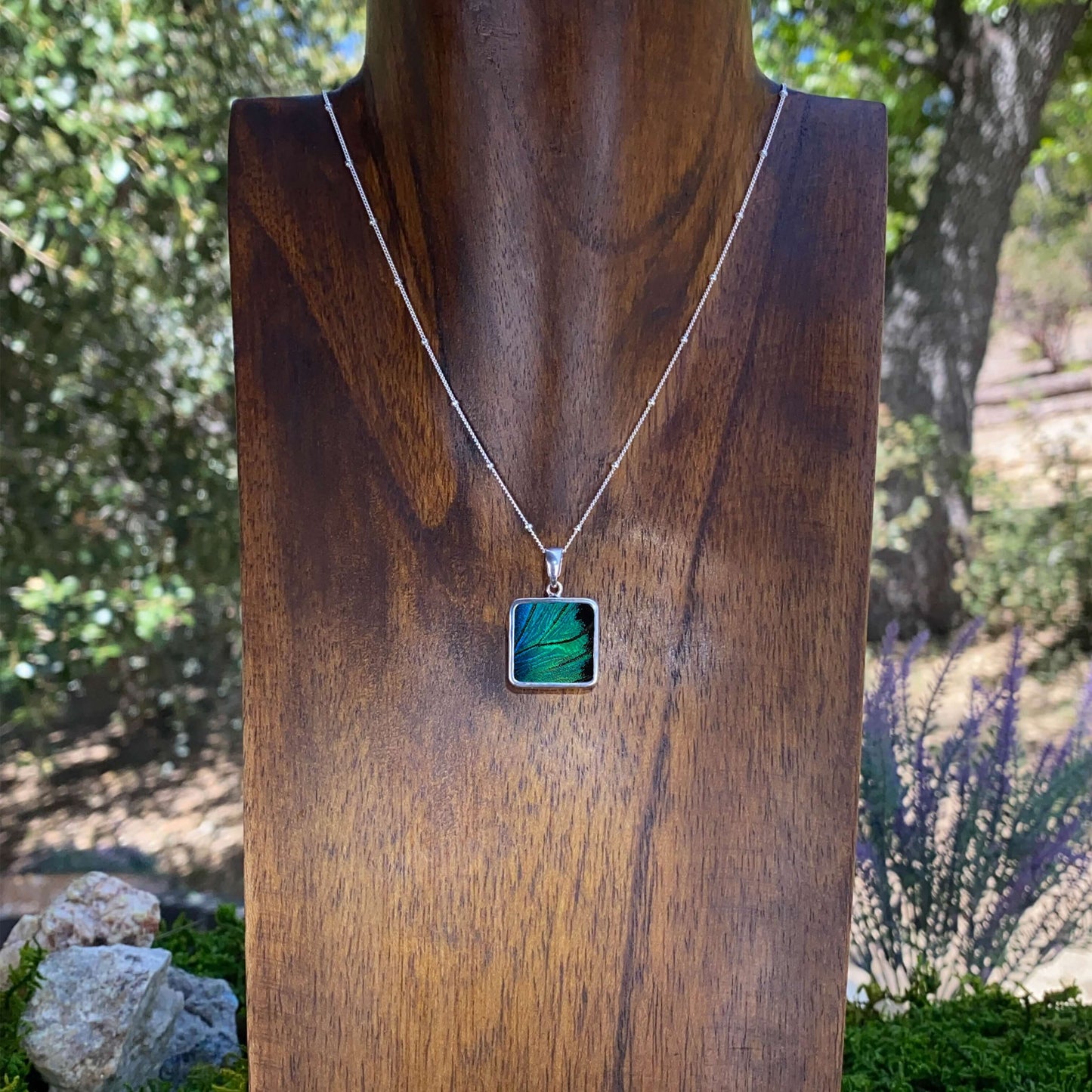 My Store Necklace Real Prepona Butterfly Square Pendant Necklace With Your Choice Of Sterling Silver Chain Length And Style