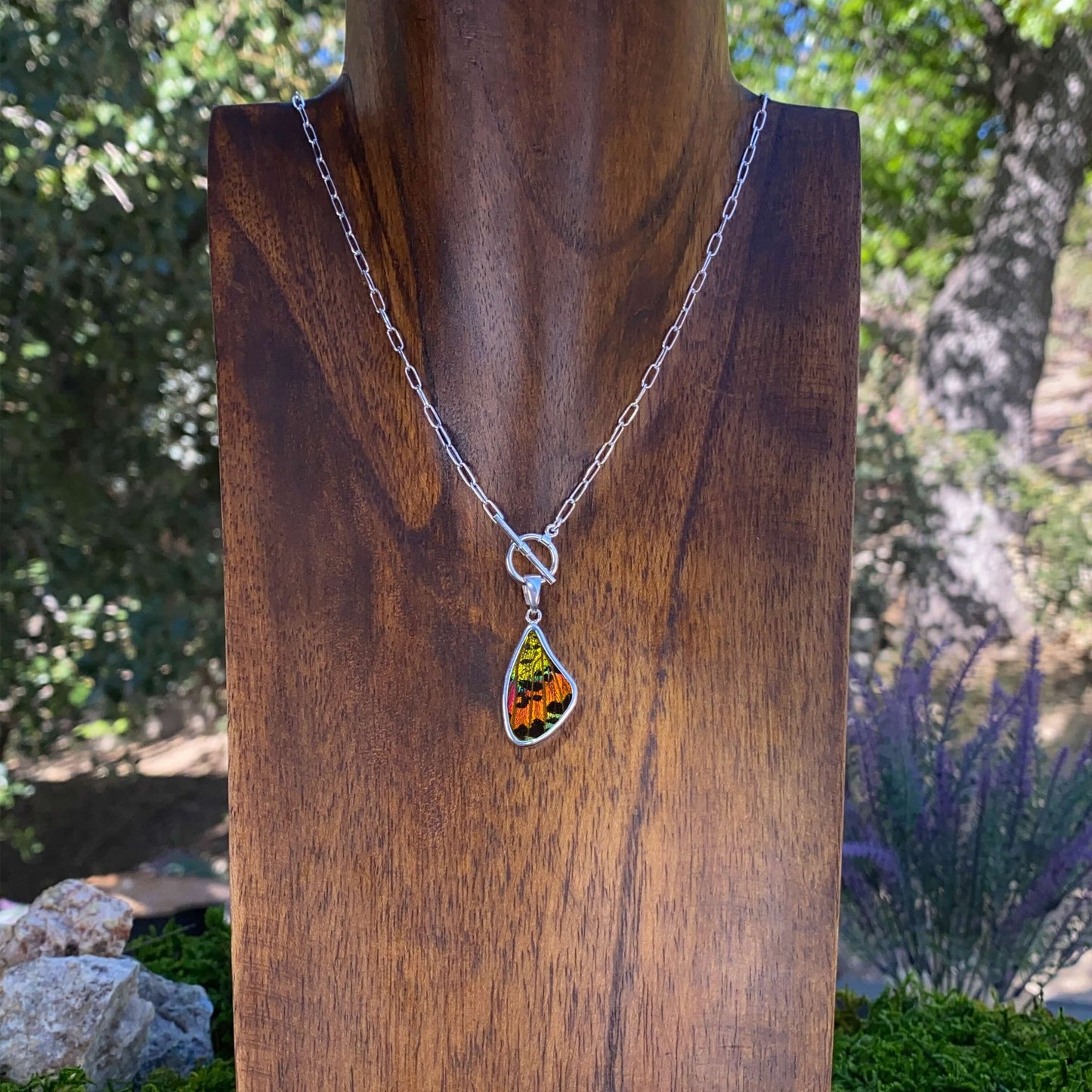My Store Necklace Real Urania Ripheus Sunrise Series Butterfly Large Wing Shaped Pendant Necklace With Your Choice Of Sterling Silver Chain Length And Style