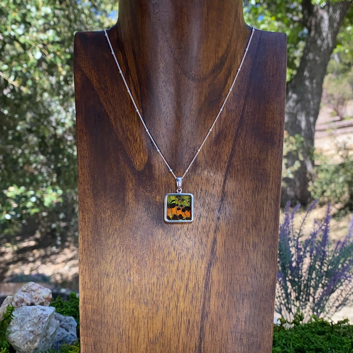 My Store Necklace Real Urania Ripheus Sunrise Series Butterfly Square Pendant Necklace With Your Choice Of Sterling Silver Chain Length And Style