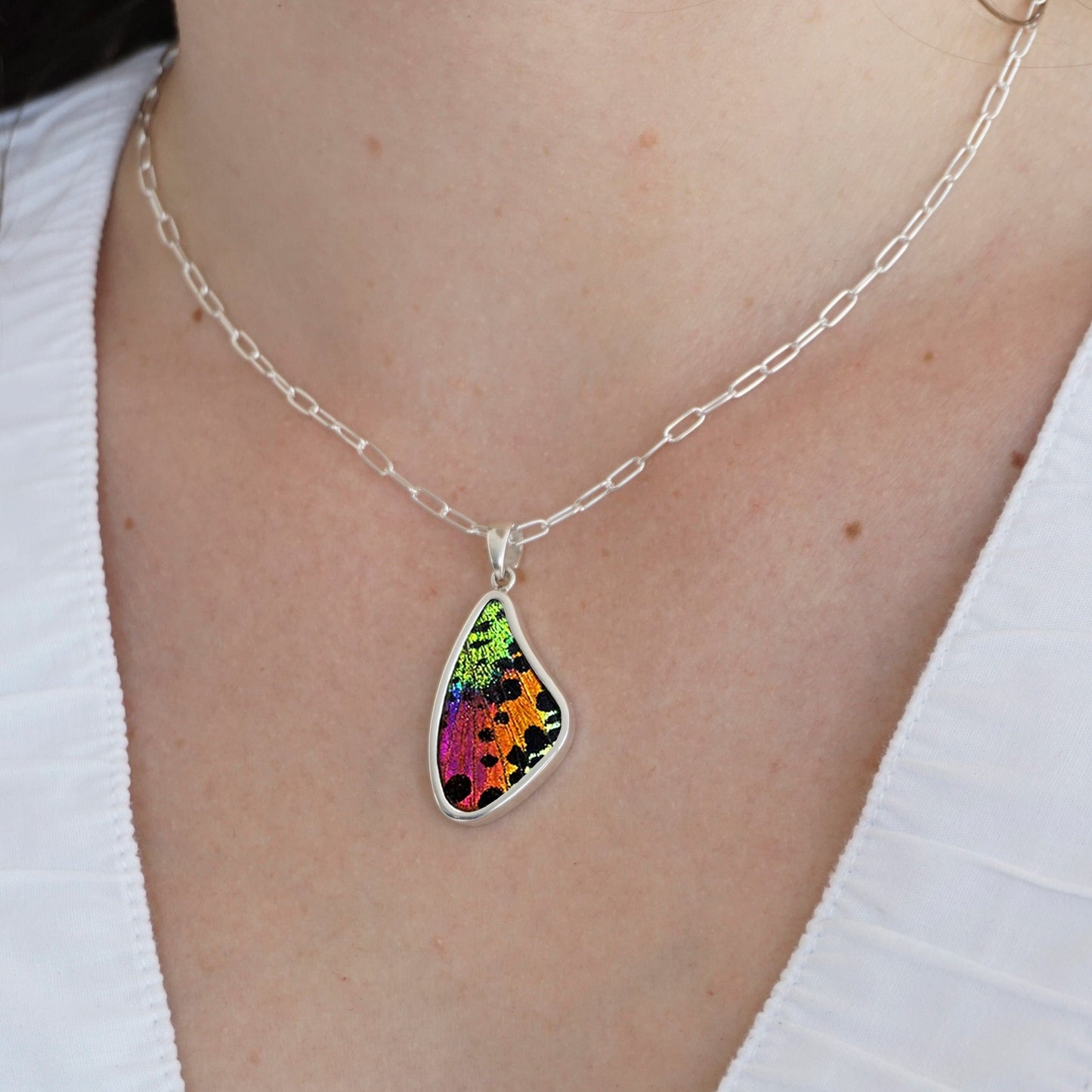 My Store Necklace Real Urania Ripheus Sunset Series Butterfly Large Wing Shaped Pendant Necklace With Your Choice Of Sterling Silver Chain Length And Style