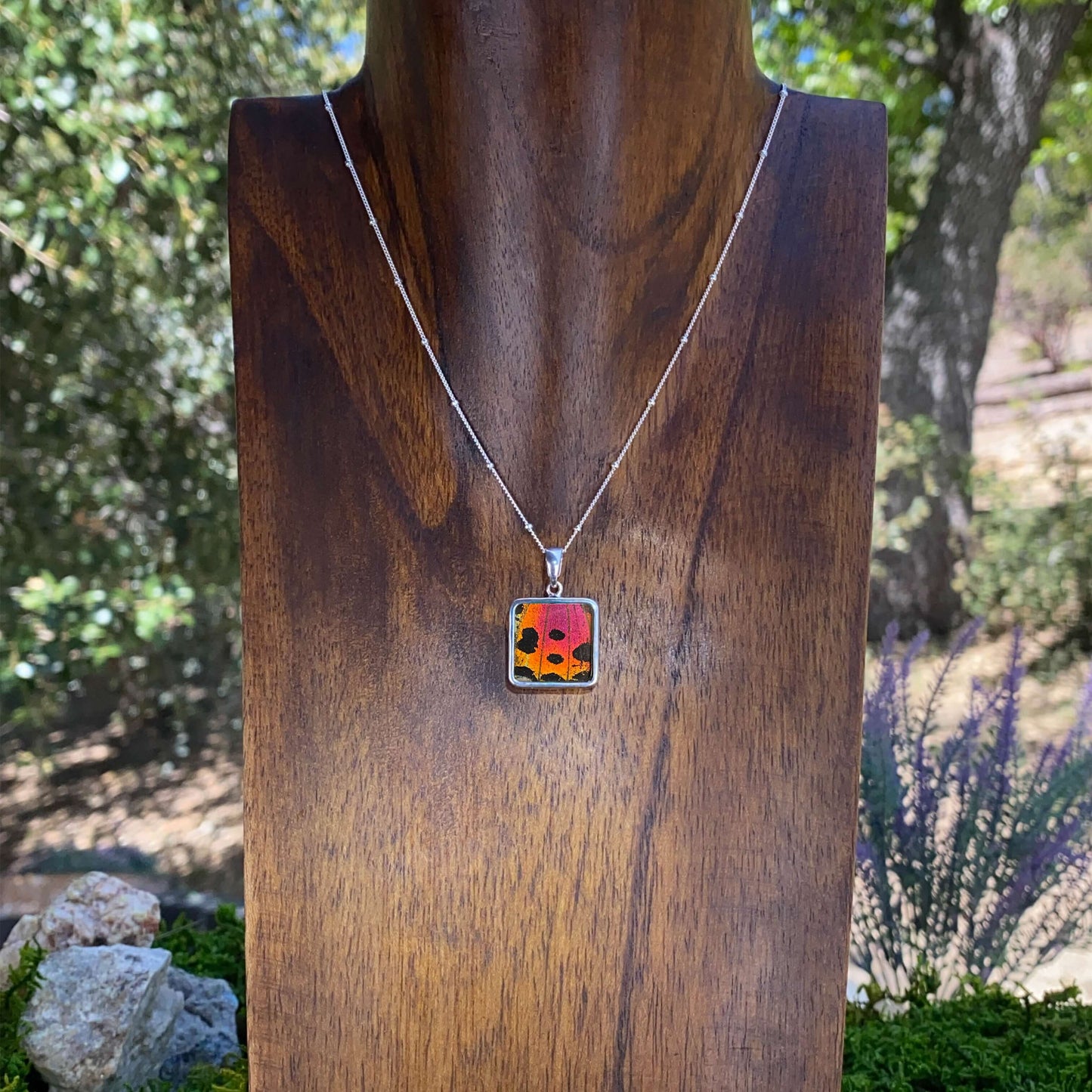 My Store Necklace Real Urania Ripheus Sunset Series Butterfly Square Pendant Necklace With Your Choice Of Sterling Silver Chain Length And Style