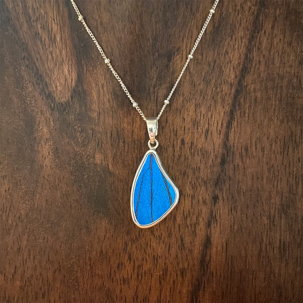 
                  
                    My Store Necklace Satellite Chain / 16 in + 2 inch extender (16/18) Medium Wing-Shaped Pendant Necklace | Real Morpho Butterfly | Sterling Silver
                  
                