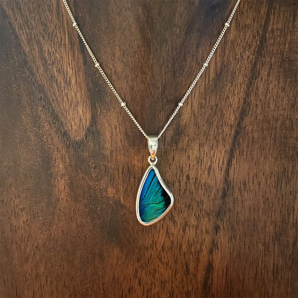 
                  
                    My Store Necklace Satellite Chain / 16 in + 2 inch extender (16/18) Small Wing-Shaped Pendant Necklace | Real Prepona Butterfly | Sterling Silver
                  
                