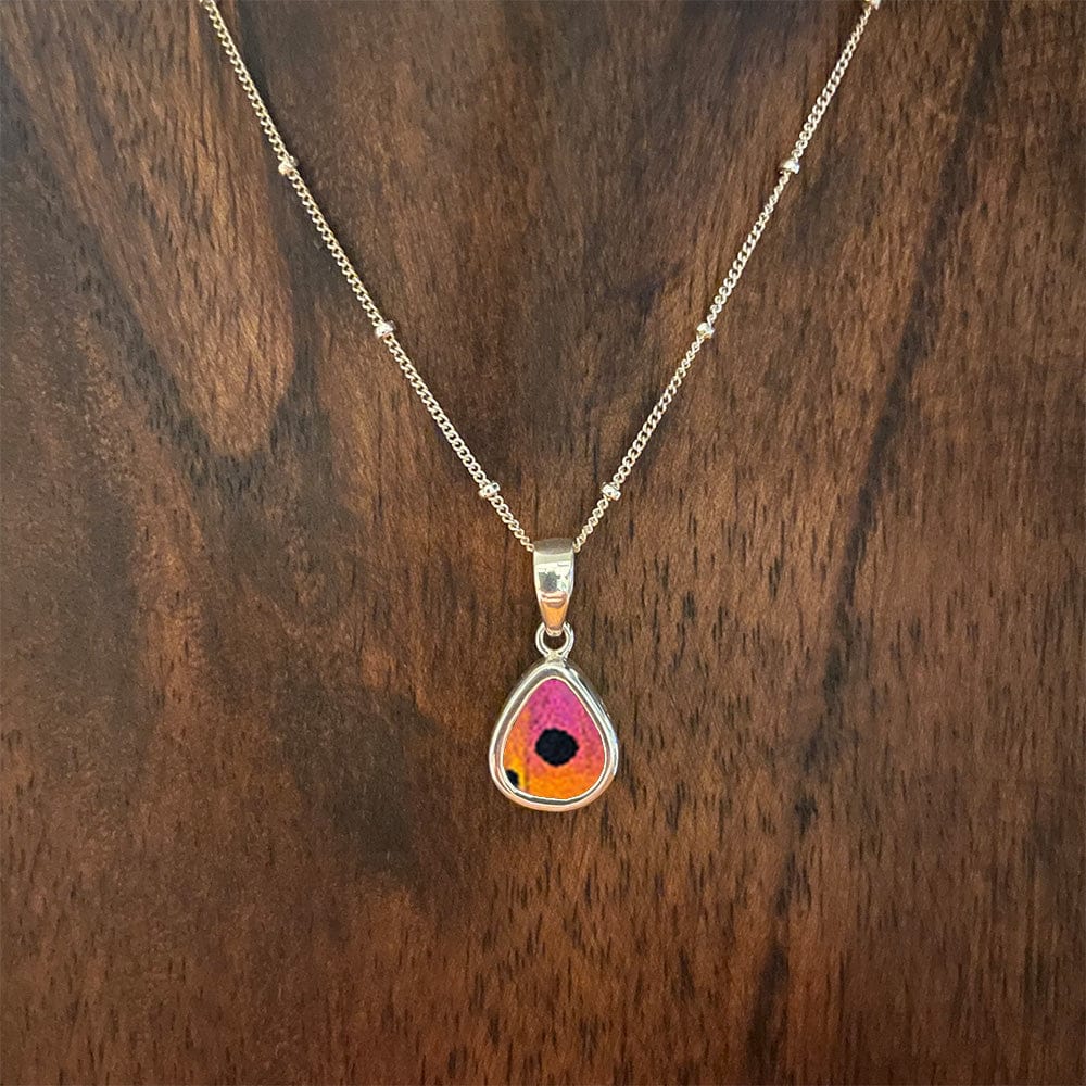 
                  
                    My Store Necklace Small Teardrop-Shaped Pendant Necklace | Real Urania Ripheus Butterfly - Sunburst Series | Sterling Silver
                  
                