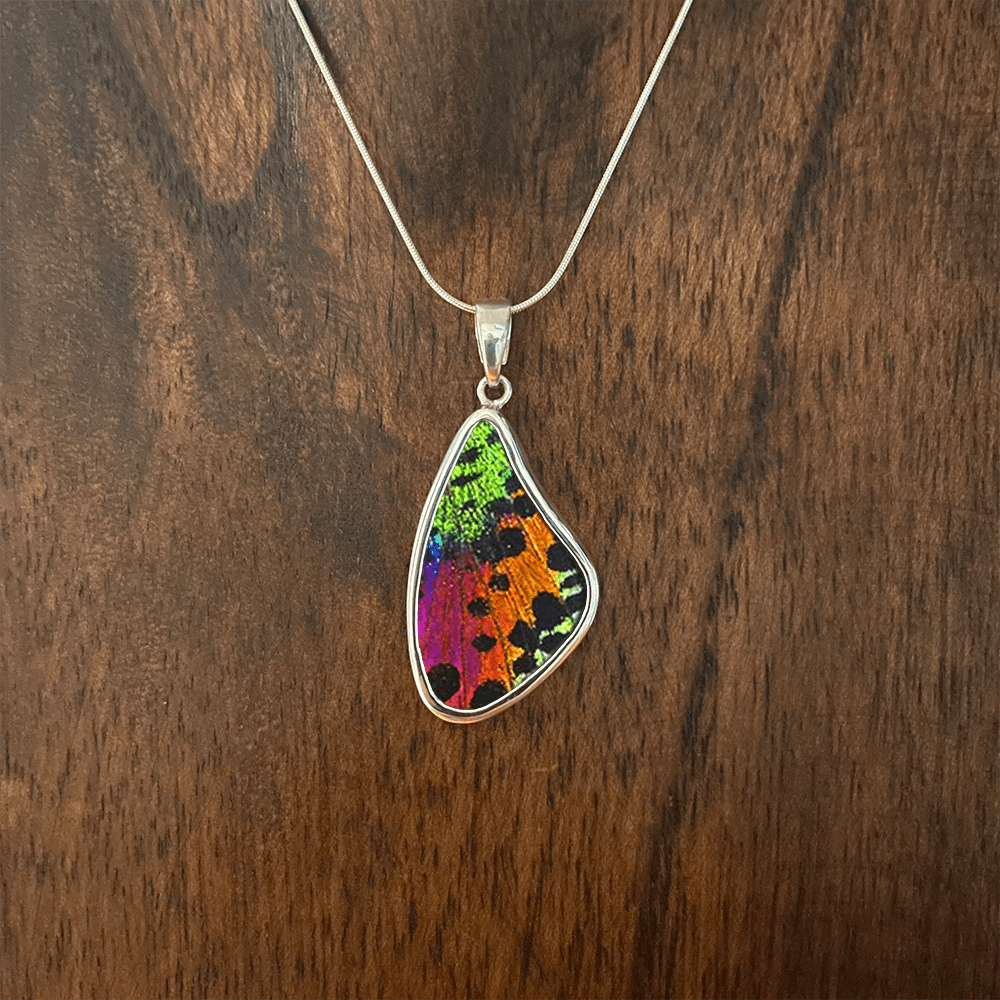 
                  
                    My Store Necklace Snake Chain / 16 in Large Wing-Shaped Pendant Necklace | Real Urania Ripheus Butterfly - Sunset Series | Sterling Silver
                  
                