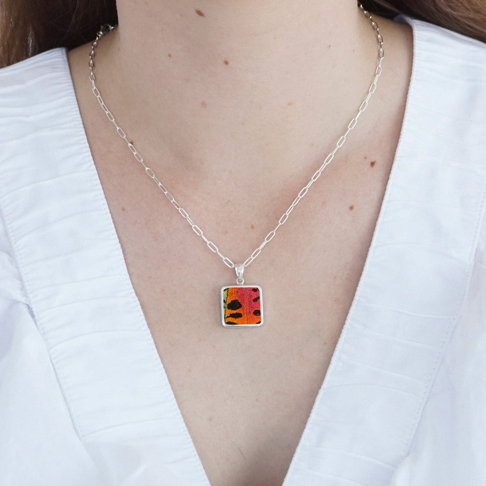 
                  
                    My Store Necklace Square Pendant Necklace | Real Urania Ripheus Butterfly - Sunset Series | Sterling Silver
                  
                