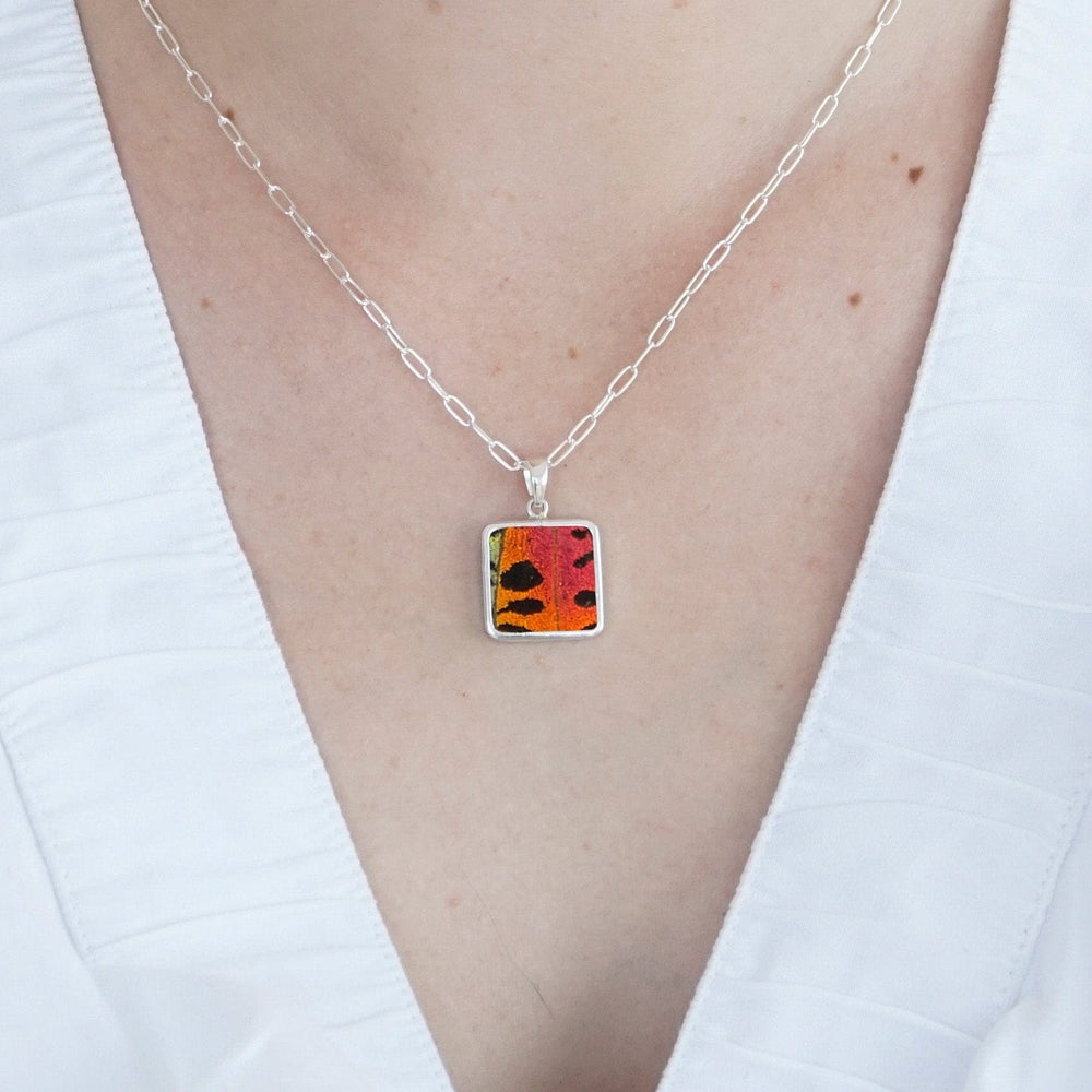 
                  
                    My Store Necklace Square Pendant Necklace | Real Urania Ripheus Butterfly - Sunset Series | Sterling Silver
                  
                